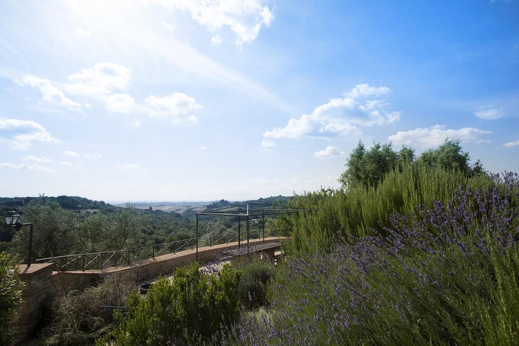 Casa Sandro A Podere Pascianella Villa Castelmuzio Ruang foto