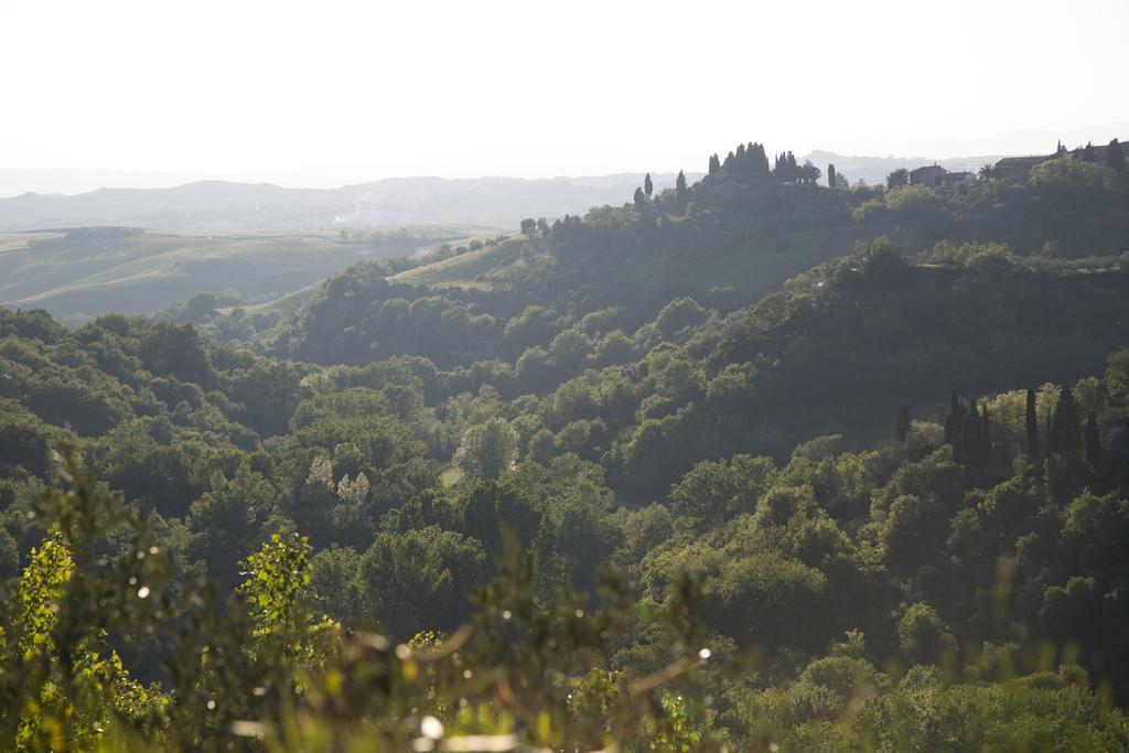 Casa Sandro A Podere Pascianella Villa Castelmuzio Bagian luar foto